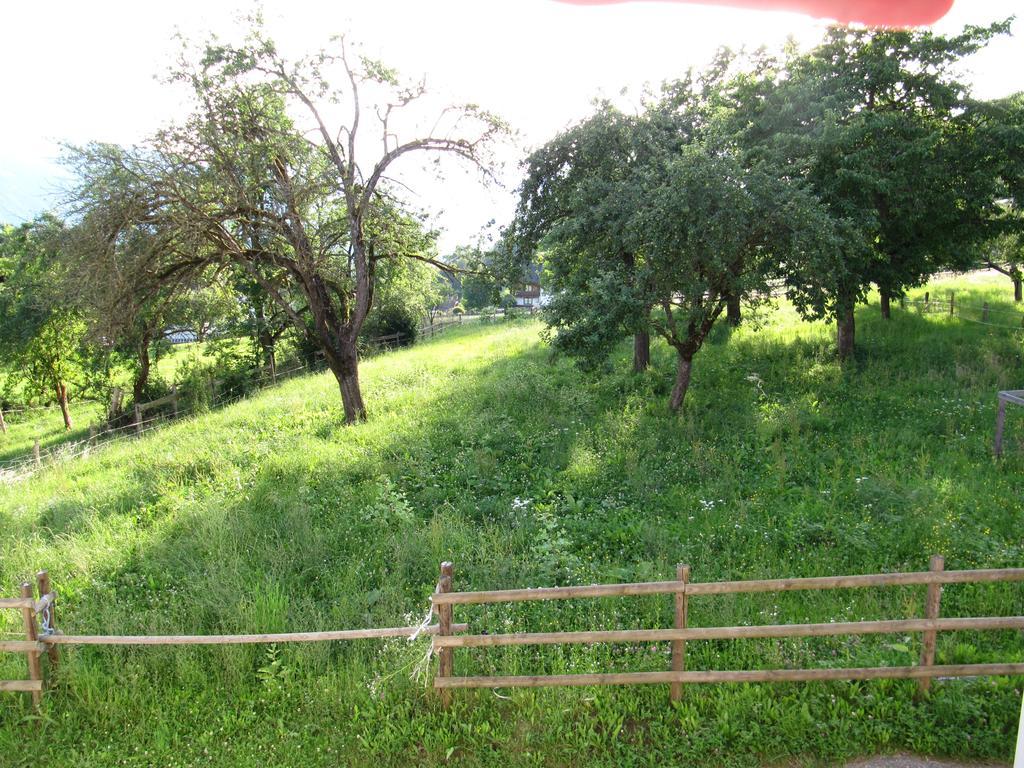Donisbauerhof Apartment Lieserbrucke ภายนอก รูปภาพ