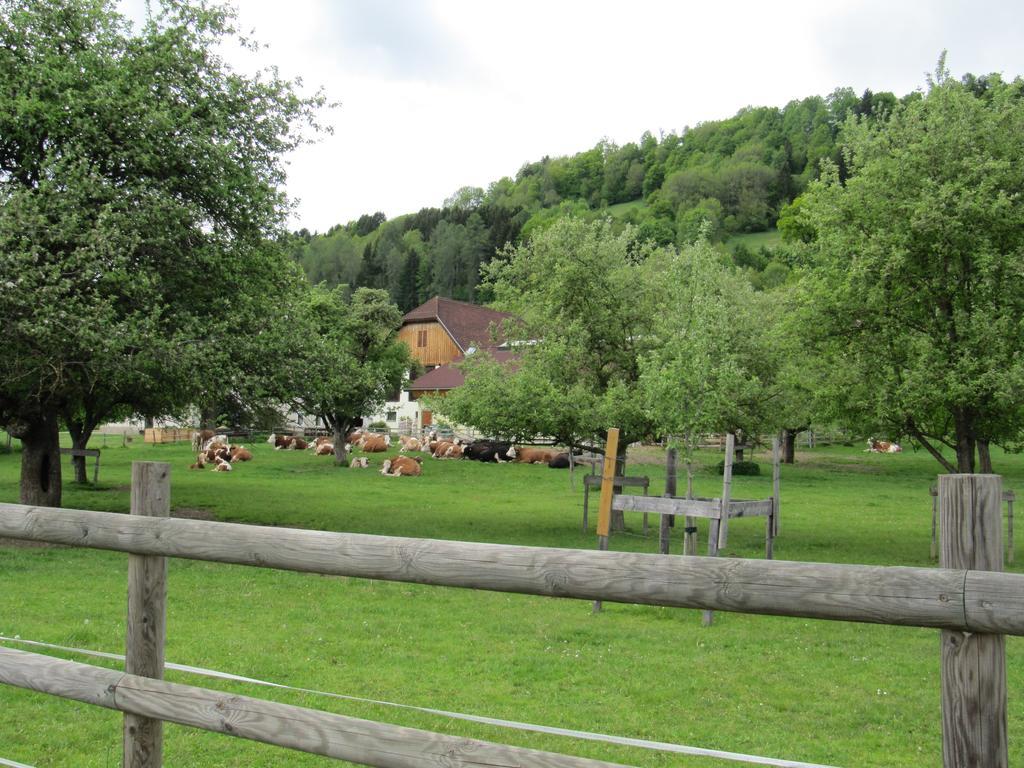 Donisbauerhof Apartment Lieserbrucke ภายนอก รูปภาพ